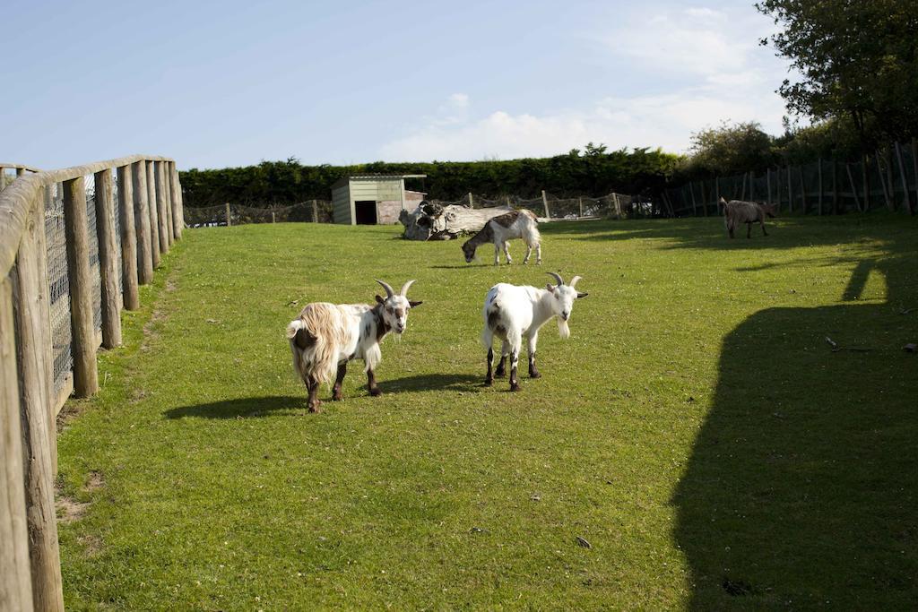 ביוד Wooda Farm Holidays מראה חיצוני תמונה